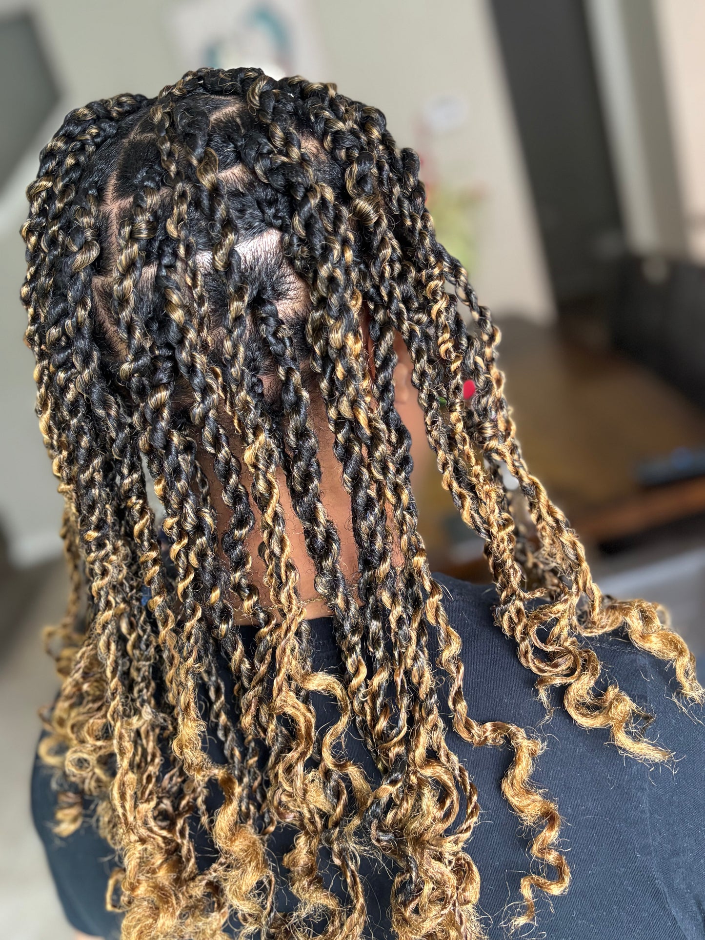 Braids + Twists Styles