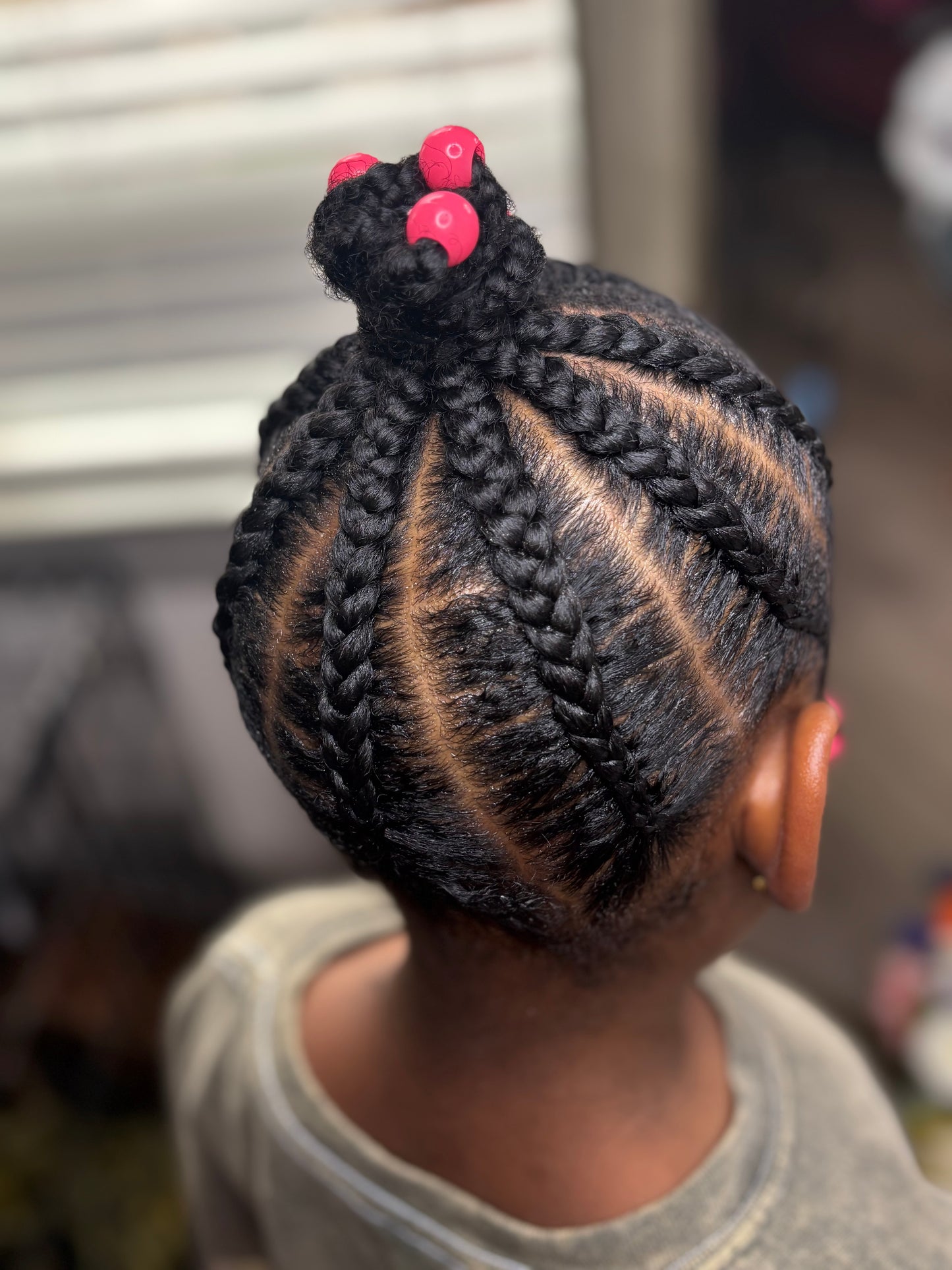 Braids + Twists Styles