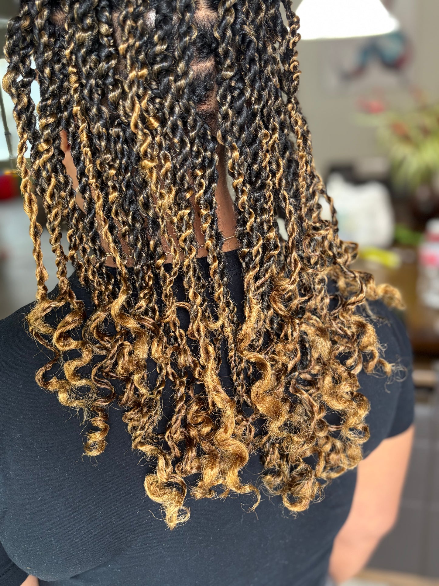Braids + Twists Styles