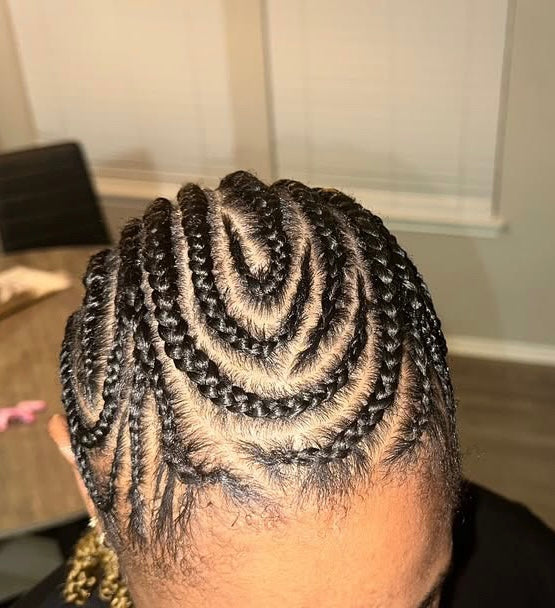 Braids + Twists Styles